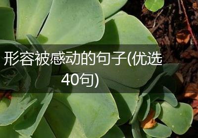 形容被感动的句子(优选40句)