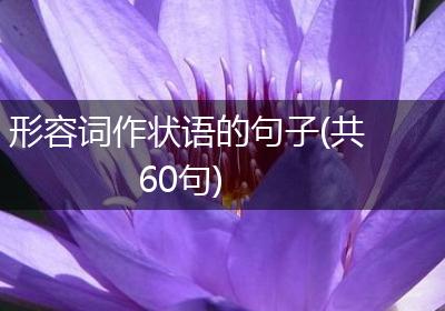 形容词作状语的句子(共60句)