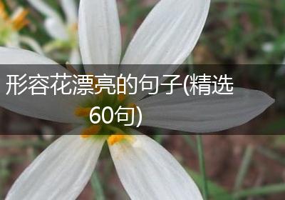 形容花漂亮的句子(精选60句)