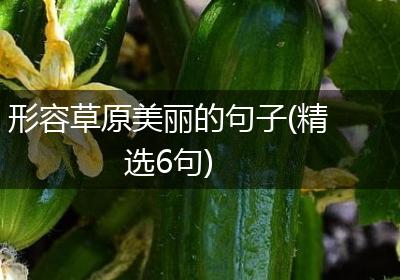 形容草原美丽的句子(精选6句)