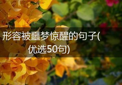 形容被噩梦惊醒的句子(优选50句)