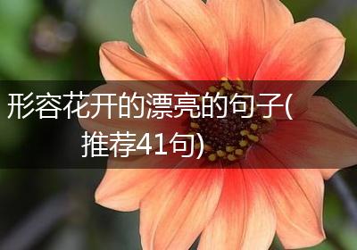 形容花开的漂亮的句子(推荐41句)