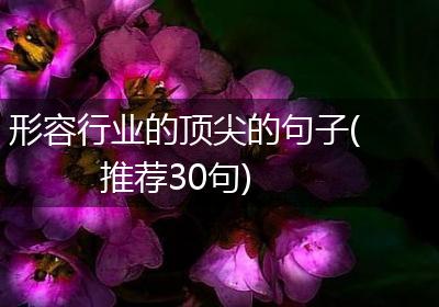 形容行业的顶尖的句子(推荐30句)