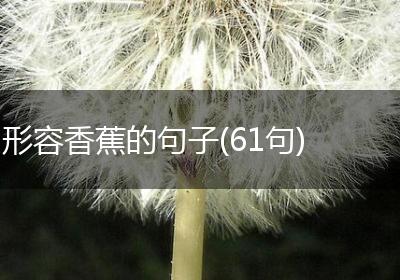 形容香蕉的句子(61句)