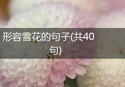 形容雪花的句子(共40句)