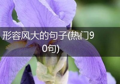 形容风大的句子(热门90句)