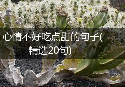心情不好吃点甜的句子(精选20句)