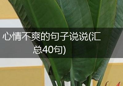 心情不爽的句子说说(汇总40句)