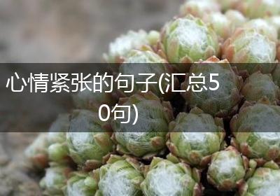 心情紧张的句子(汇总50句)