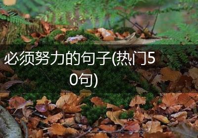 必须努力的句子(热门50句)