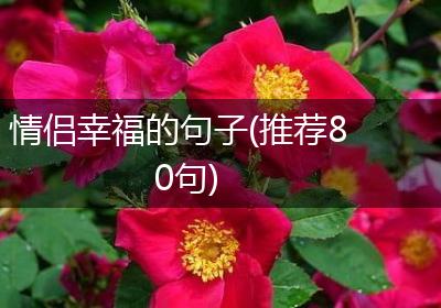 情侣幸福的句子(推荐80句)
