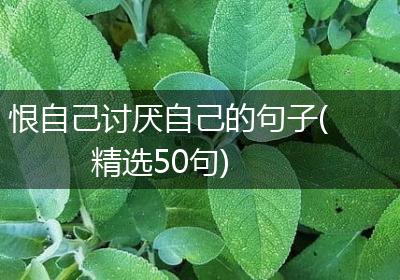 恨自己讨厌自己的句子(精选50句)