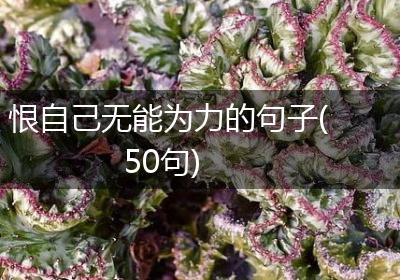 恨自己无能为力的句子(50句)