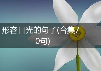 形容目光的句子(合集70句)