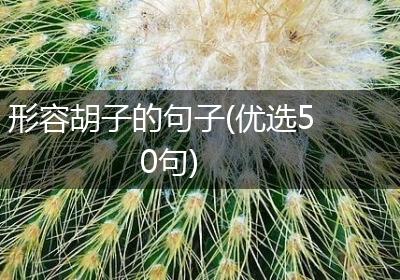 形容胡子的句子(优选50句)