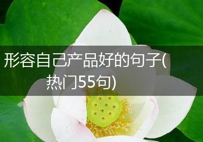 形容自己产品好的句子(热门55句)