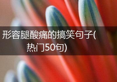 形容腿酸痛的搞笑句子(热门50句)
