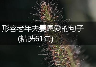 形容老年夫妻恩爱的句子(精选61句)