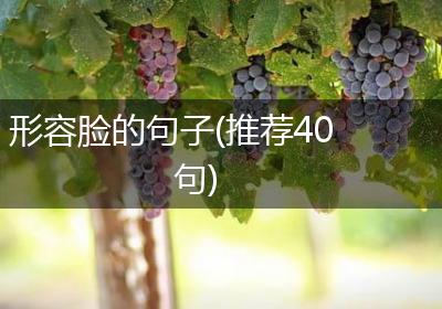 形容脸的句子(推荐40句)
