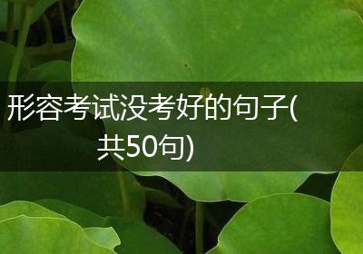 形容考试没考好的句子(共50句)