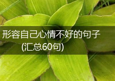 形容自己心情不好的句子(汇总60句)