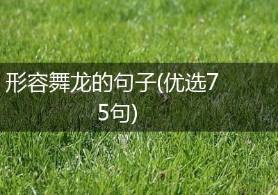 形容舞龙的句子(优选75句)