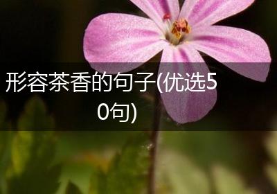 形容茶香的句子(优选50句)