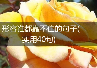 形容谁都靠不住的句子(实用40句)