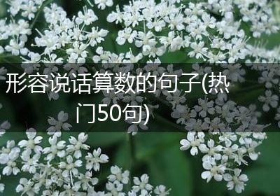 形容说话算数的句子(热门50句)