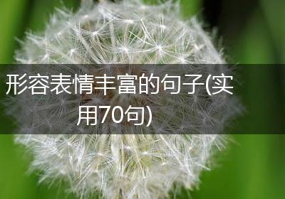 形容表情丰富的句子(实用70句)