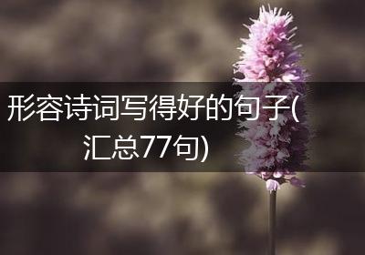形容诗词写得好的句子(汇总77句)