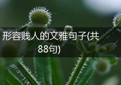 形容贱人的文雅句子(共88句)