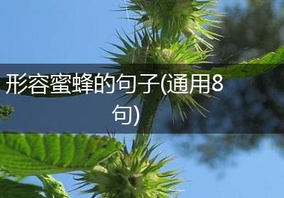 形容蜜蜂的句子(通用8句)