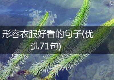 形容衣服好看的句子(优选71句)