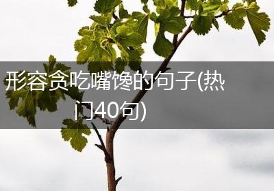 形容贪吃嘴馋的句子(热门40句)