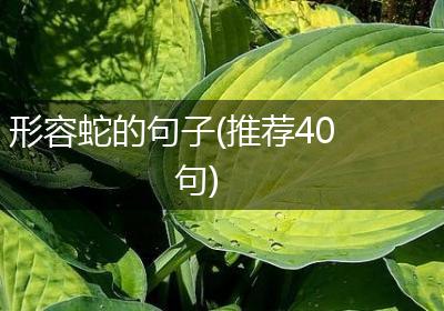形容蛇的句子(推荐40句)