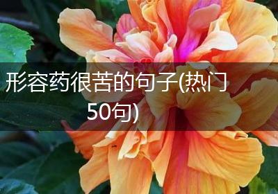 形容药很苦的句子(热门50句)