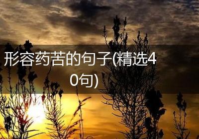 形容药苦的句子(精选40句)