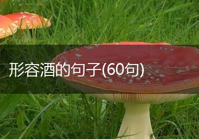 形容酒的句子(60句)