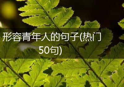 形容青年人的句子(热门50句)