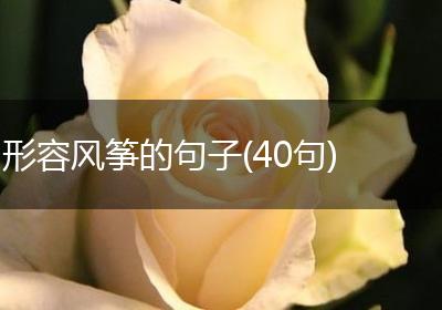 形容风筝的句子(40句)