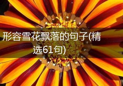 形容雪花飘落的句子(精选61句)