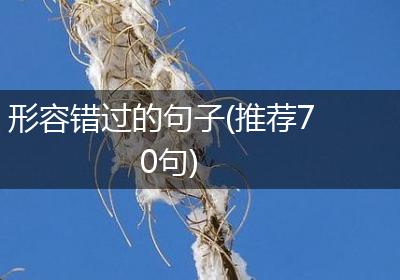 形容错过的句子(推荐70句)