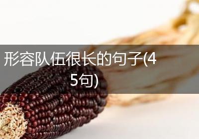 形容队伍很长的句子(45句)