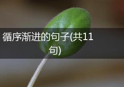 循序渐进的句子(共11句)