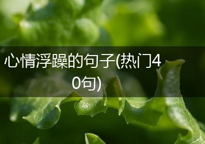 心情浮躁的句子(热门40句)