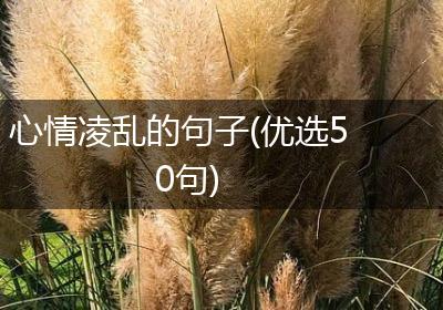 心情凌乱的句子(优选50句)