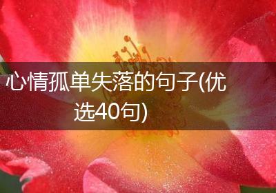 心情孤单失落的句子(优选40句)