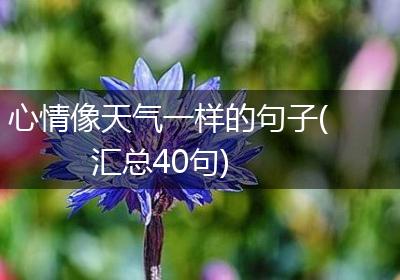 心情像天气一样的句子(汇总40句)