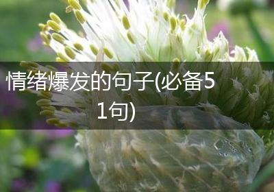 情绪爆发的句子(必备51句)